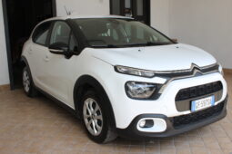 
										Citroen C3 BlueHDi 100 S&S Van Feel full									