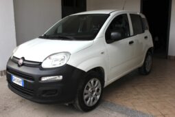 Fiat Panda Natural Power Van