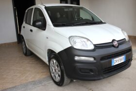 Fiat Panda Natural Power Van