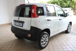 
										Fiat Panda Natural Power Van full									