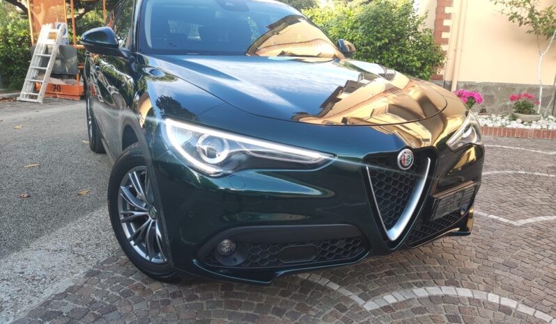 
								Stelvio rwd 160 cv full									