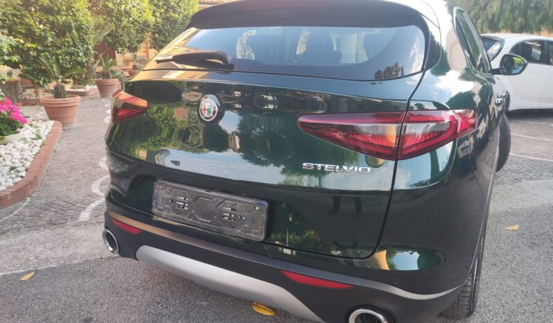 
								Stelvio rwd 160 cv full									