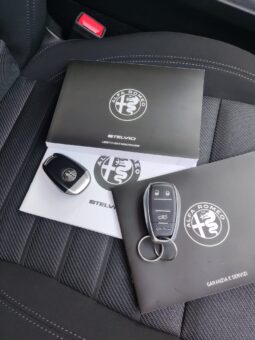 
										Stelvio rwd 160 cv full									